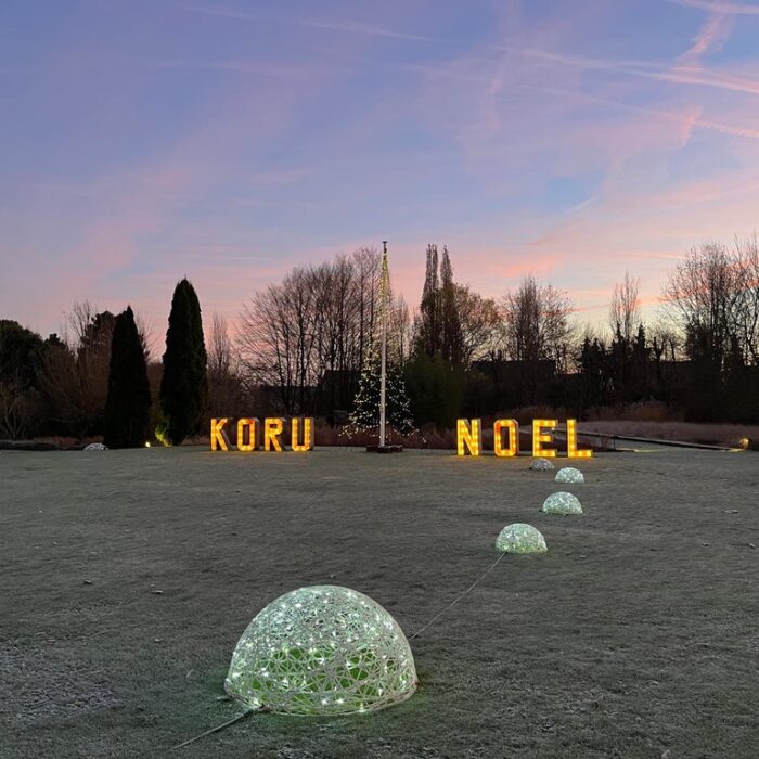 AF5E00A1-5B7B-45D5-BB33-EF335EE52BBE_1_105_c AF5E00A1-5B7B-45D5-BB33-EF335EE52BBE_1_105_c